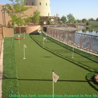 How To Install Artificial Grass Saint Francis, Wisconsin Golf Green, Backyard Design