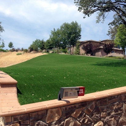 Installing Artificial Grass Bonduel, Wisconsin Design Ideas, Landscaping Ideas For Front Yard