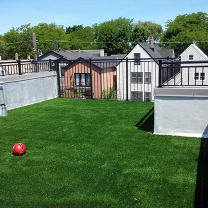 Installing Artificial Grass Jefferson, Wisconsin Cat Playground, Veranda