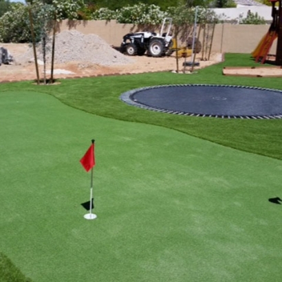 Lawn Services Algoma, Wisconsin Golf Green, Backyard Ideas