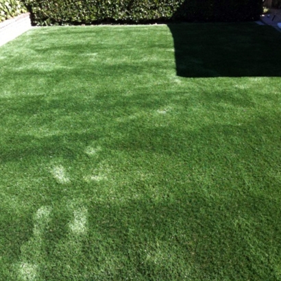 Lawn Services Greenfield, Wisconsin Dogs, Small Backyard Ideas