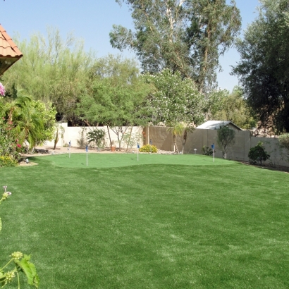 Lawn Services Potter, Wisconsin Outdoor Putting Green, Backyard Design