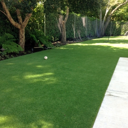 Outdoor Carpet Bell Center, Wisconsin Artificial Grass For Dogs