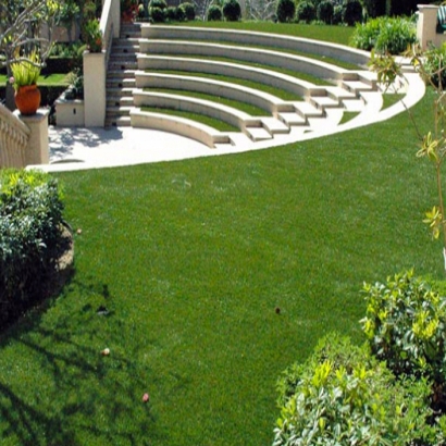 Outdoor Carpet Burlington, Wisconsin Landscape Ideas