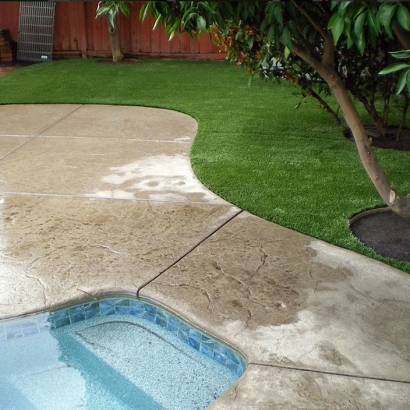 Outdoor Carpet Elkhorn, Wisconsin Lawn And Garden, Backyard Landscaping