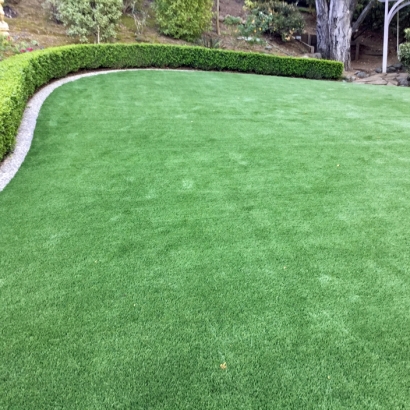 Outdoor Carpet Pine River, Wisconsin Landscaping, Backyard Design