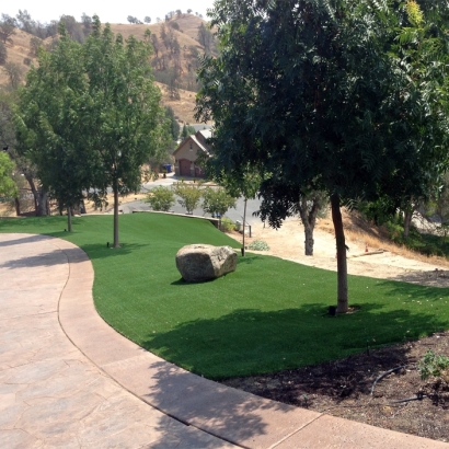 Outdoor Carpet Rockdale, Wisconsin Landscaping Business, Front Yard Landscaping