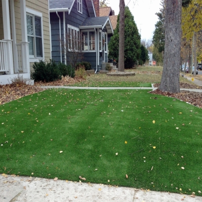 Plastic Grass Brooklyn, Wisconsin Home And Garden, Front Yard Landscape Ideas