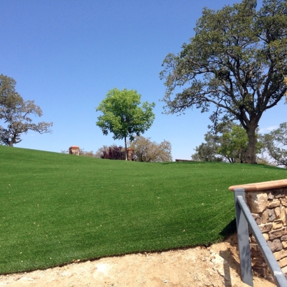Plastic Grass Columbus, Wisconsin City Landscape, Small Front Yard Landscaping