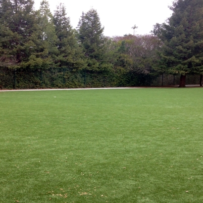 Plastic Grass Dellwood, Wisconsin Landscape Design, Recreational Areas