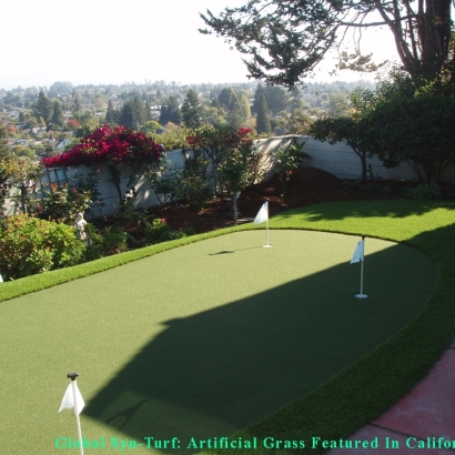 Plastic Grass Greendale, Wisconsin Golf Green, Backyard Ideas