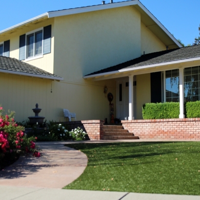 Plastic Grass Hustler, Wisconsin Roof Top, Landscaping Ideas For Front Yard