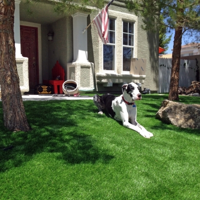 Plastic Grass Kimberly, Wisconsin Roof Top, Front Yard Landscaping Ideas