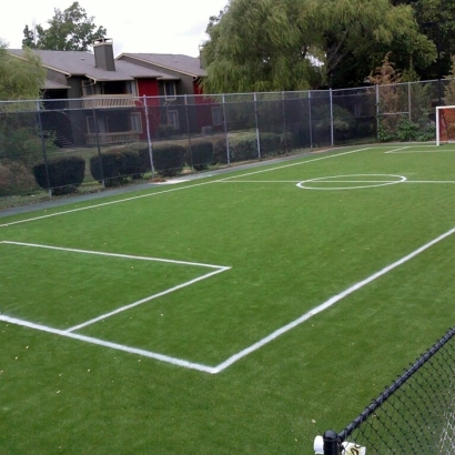 Plastic Grass Oakfield, Wisconsin Backyard Soccer, Commercial Landscape