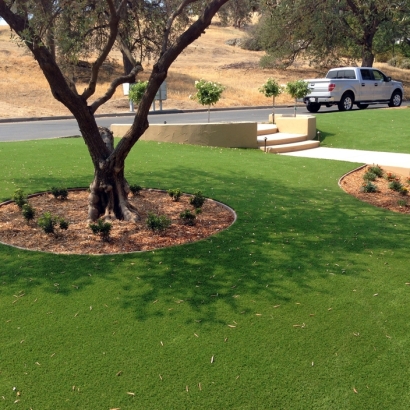 Plastic Grass Rock Springs, Wisconsin Lawn And Garden, Front Yard Landscape Ideas