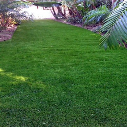 Plastic Grass Sharon, Wisconsin Landscaping, Backyards
