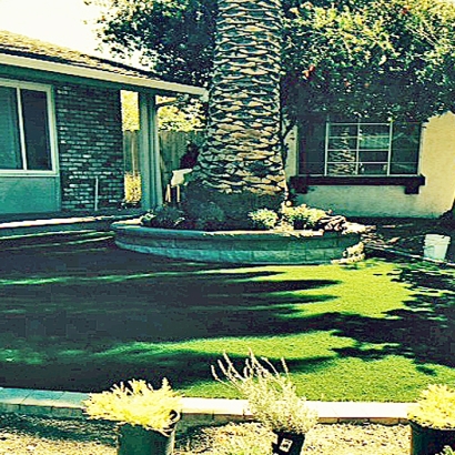Plastic Grass South Wayne, Wisconsin Lawn And Garden, Small Front Yard Landscaping