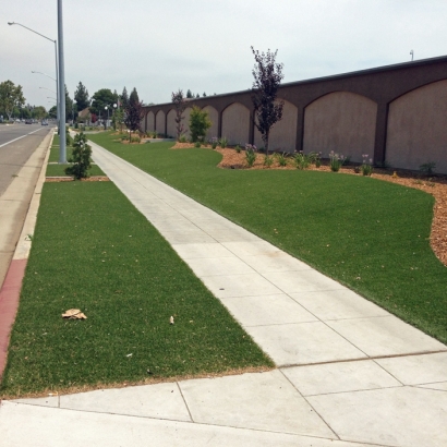 Plastic Grass Stoughton, Wisconsin Lawn And Garden, Commercial Landscape