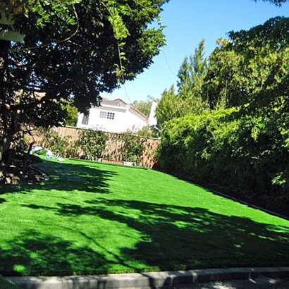 Synthetic Grass Browns Lake, Wisconsin Rooftop, Backyard Ideas
