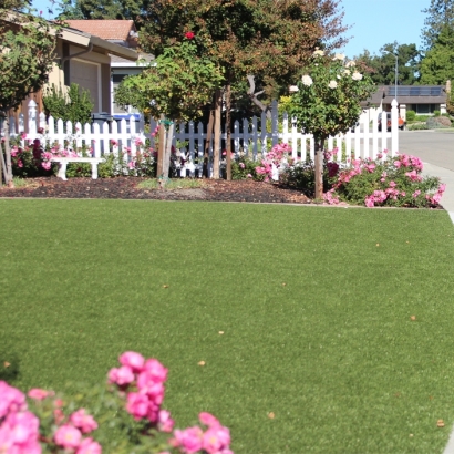 Synthetic Grass Coleman, Wisconsin Lawns, Small Front Yard Landscaping