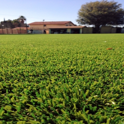 Synthetic Grass Cost Adell, Wisconsin Home And Garden