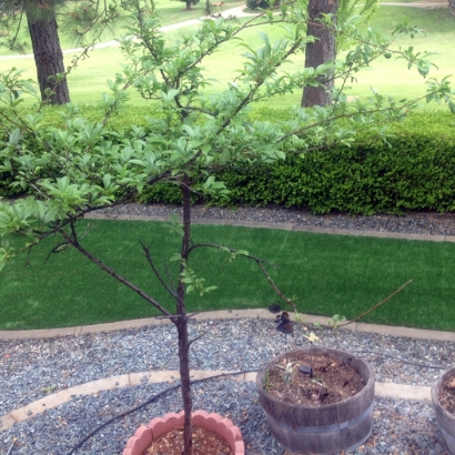 Synthetic Grass Cost Beloit, Wisconsin Home And Garden, Front Yard Landscape Ideas