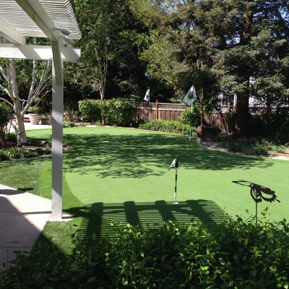 Synthetic Grass Cost Black Creek, Wisconsin Lawns