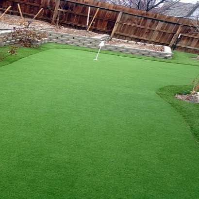 Synthetic Grass Cost Dane, Wisconsin Lawns, Small Backyard Ideas