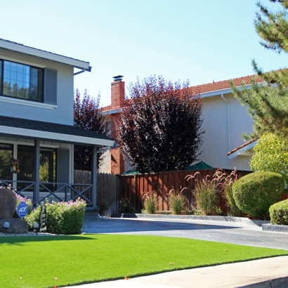 Synthetic Grass Cost Elkhorn, Wisconsin Roof Top, Front Yard Landscape Ideas