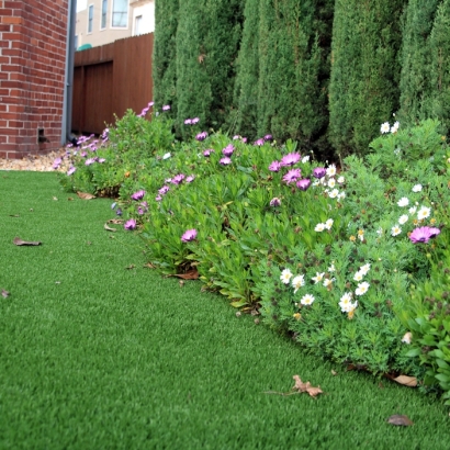 Synthetic Grass Cost Footville, Wisconsin Landscape Design, Front Yard