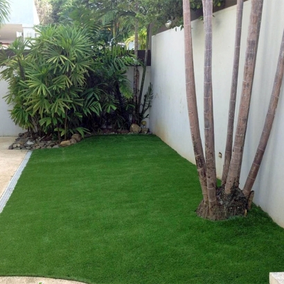 Synthetic Grass Cost Hazel Green, Wisconsin Backyard Playground, Small Backyard Ideas