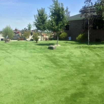 Synthetic Grass Cost Kekoskee, Wisconsin Grass For Dogs, Parks