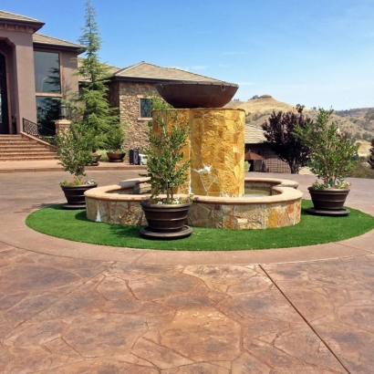 Synthetic Grass Cost Milladore, Wisconsin Lawn And Garden, Front Yard Landscaping Ideas