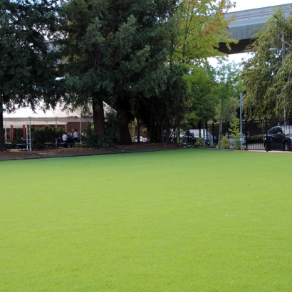 Synthetic Grass Cost Park Ridge, Wisconsin Landscaping, Commercial Landscape