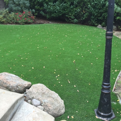 Synthetic Grass Cost Poy Sippi, Wisconsin Landscape Ideas, Backyard Design