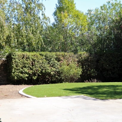 Synthetic Grass Cost Stevens Point, Wisconsin Paver Patio, Backyard Ideas