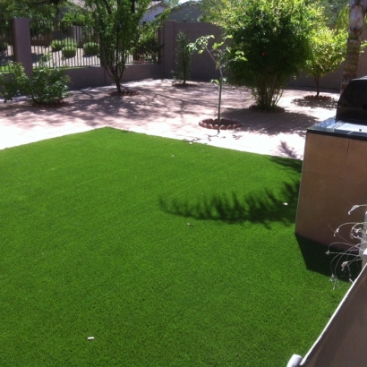 Synthetic Grass Cost Westfield, Wisconsin Landscaping Business, Dogs Runs
