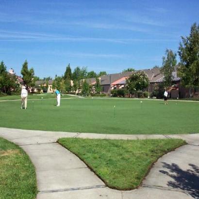 Synthetic Grass Iola, Wisconsin Putting Green Turf, Commercial Landscape