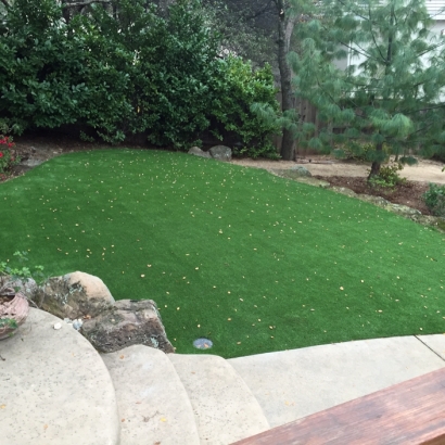 Synthetic Grass Monroe, Wisconsin Home And Garden, Backyard Landscaping