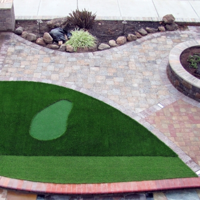 Synthetic Grass Nashotah, Wisconsin Lawn And Garden, Front Yard Landscape Ideas