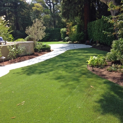 Synthetic Grass Randolph, Wisconsin Rooftop, Backyard Landscape Ideas