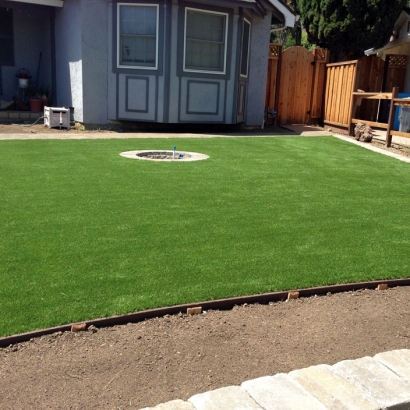 Synthetic Grass Ripon, Wisconsin City Landscape, Front Yard Landscape Ideas