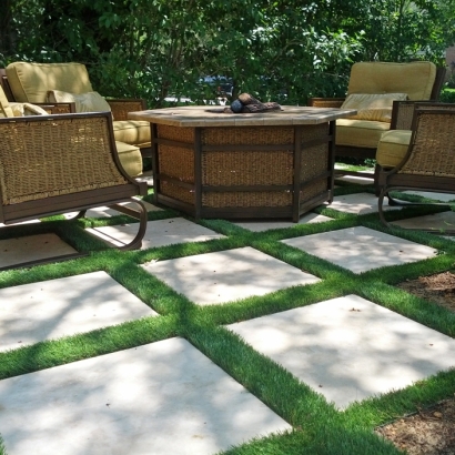 Synthetic Grass Shorewood Hills, Wisconsin Roof Top, Backyard Makeover