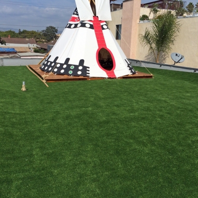 Synthetic Grass South Milwaukee, Wisconsin Landscape Photos, Veranda