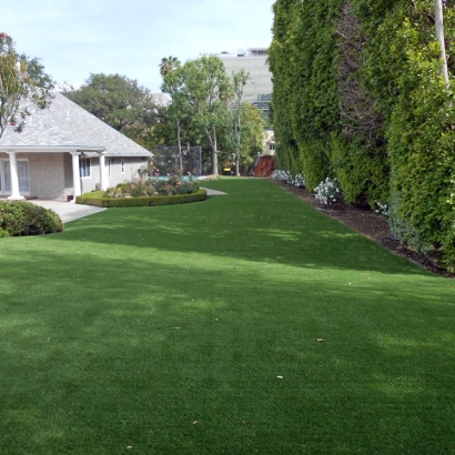 Synthetic Grass Spring Green, Wisconsin Landscape Design, Front Yard Landscape Ideas