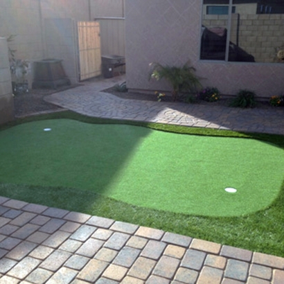 Synthetic Grass Waterloo, Wisconsin Putting Green, Backyards