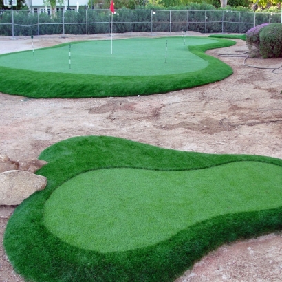 Synthetic Grass Wautoma, Wisconsin Best Indoor Putting Green, Small Front Yard Landscaping