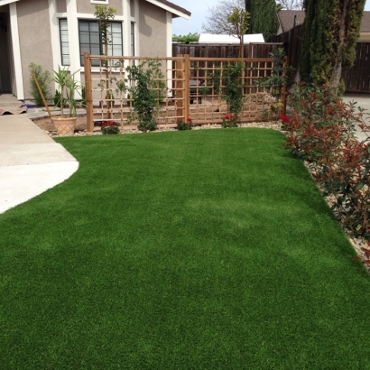 Synthetic Grass West Baraboo, Wisconsin Lawn And Landscape, Front Yard Ideas