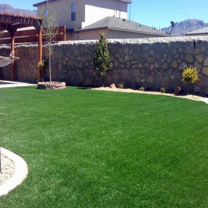 Synthetic Grass Woodford, Wisconsin Roof Top, Backyard Landscaping
