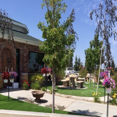 Synthetic Lawn Bohners Lake, Wisconsin Landscaping, Commercial Landscape